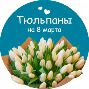 Купить тюльпаны в Иваново